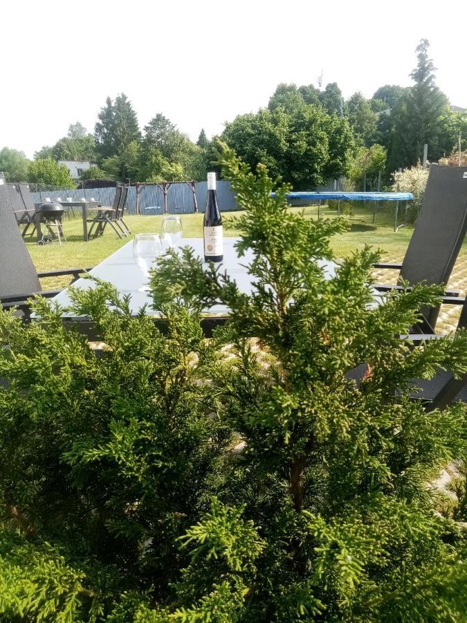 Apartmany Kohoutek A Slepicka V Novohradskych Horach Nové Hrady Exteriör bild